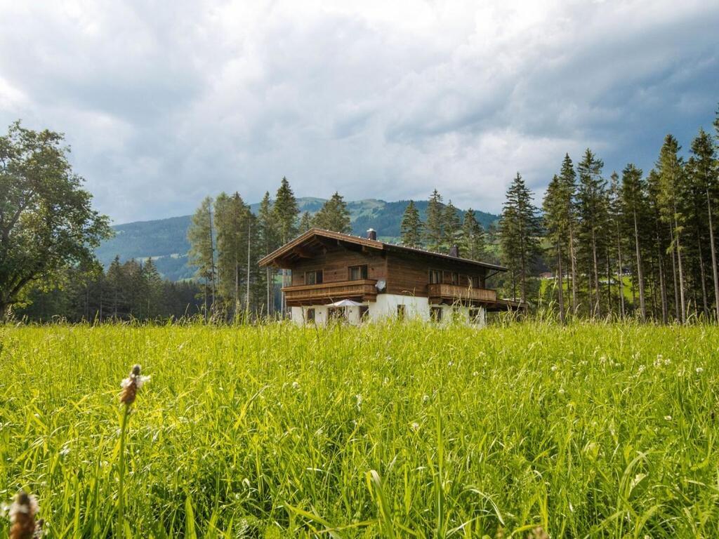 Chalet Freiblick Kleinhaid, Hollersbach Hollersbach im Pinzgau Esterno foto
